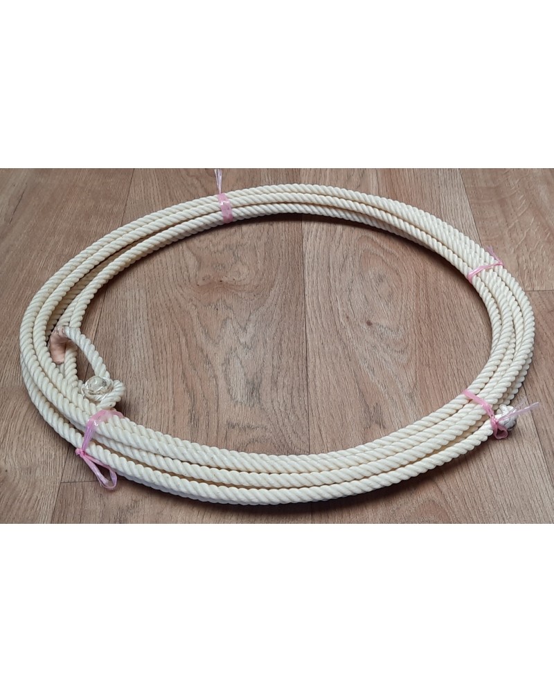 Lasso travail équitation western cheval ranch