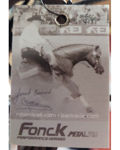 mors correctionnal embouchure western ranch equitation western shank snafle