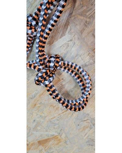 LICOL ETHOLOGIQUE TRAVAIL CORDE LONGE HORSEMANSHIP