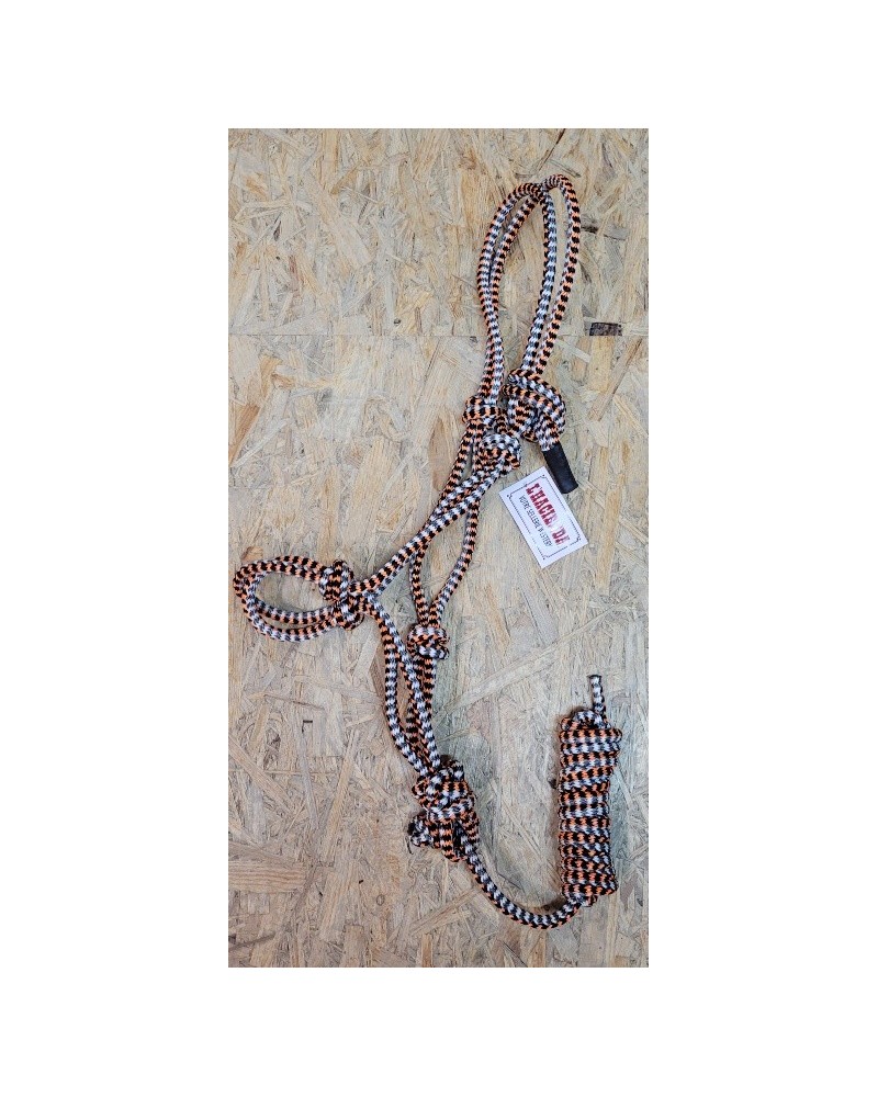 LICOL ETHOLOGIQUE TRAVAIL CORDE LONGE HORSEMANSHIP