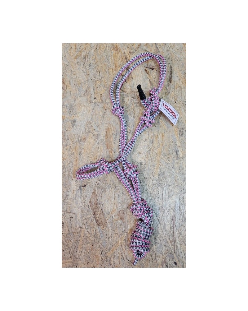 LICOL ETHOLOGIQUE TRAVAIL CORDE LONGE HORSEMANSHIP