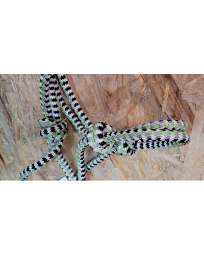 LICOL ETHOLOGIQUE TRAVAIL CORDE LONGE HORSEMANSHIP