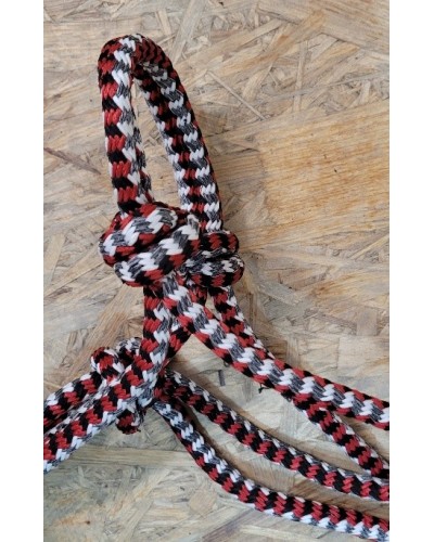 LICOL ETHOLOGIQUE TRAVAIL CORDE LONGE HORSEMANSHIP