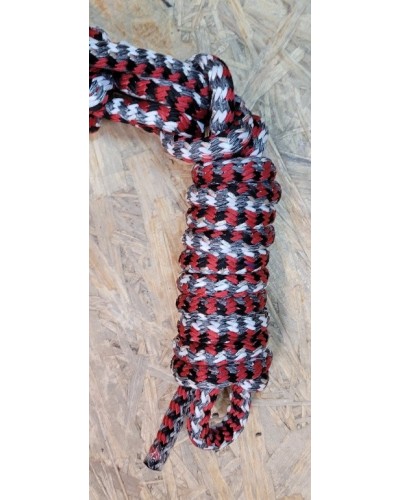 LICOL ETHOLOGIQUE TRAVAIL CORDE LONGE HORSEMANSHIP