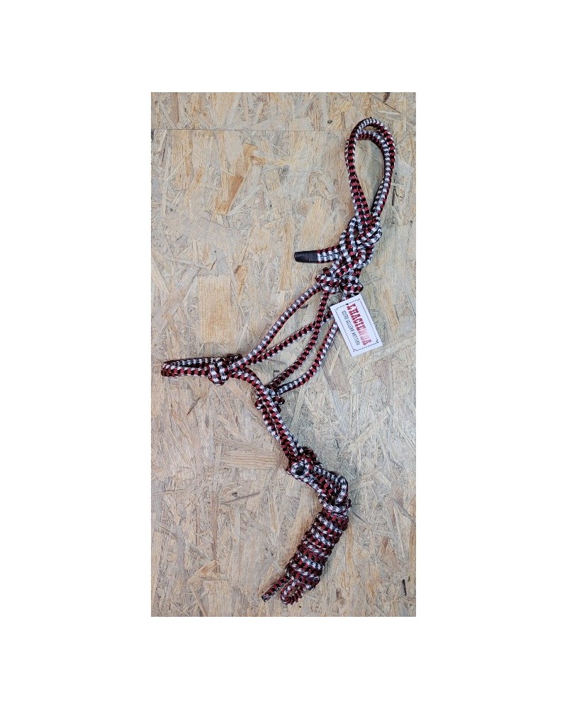 LICOL ETHOLOGIQUE TRAVAIL CORDE LONGE HORSEMANSHIP