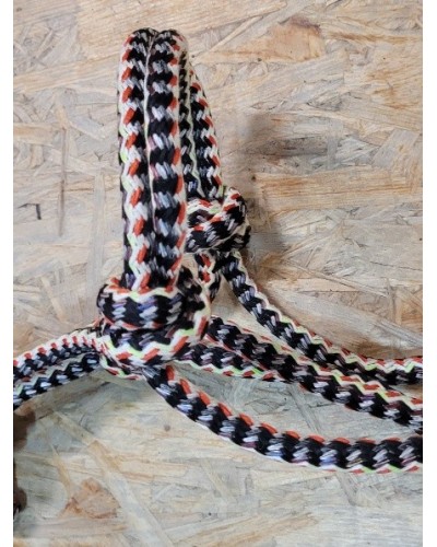 LICOL ETHOLOGIQUE TRAVAIL CORDE LONGE HORSEMANSHIP