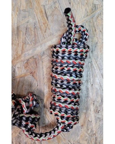 LICOL ETHOLOGIQUE TRAVAIL CORDE LONGE HORSEMANSHIP