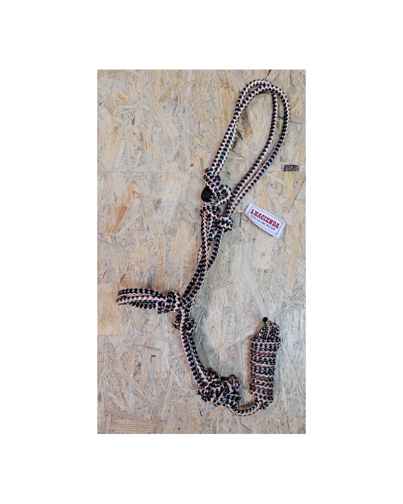 LICOL ETHOLOGIQUE TRAVAIL CORDE LONGE HORSEMANSHIP