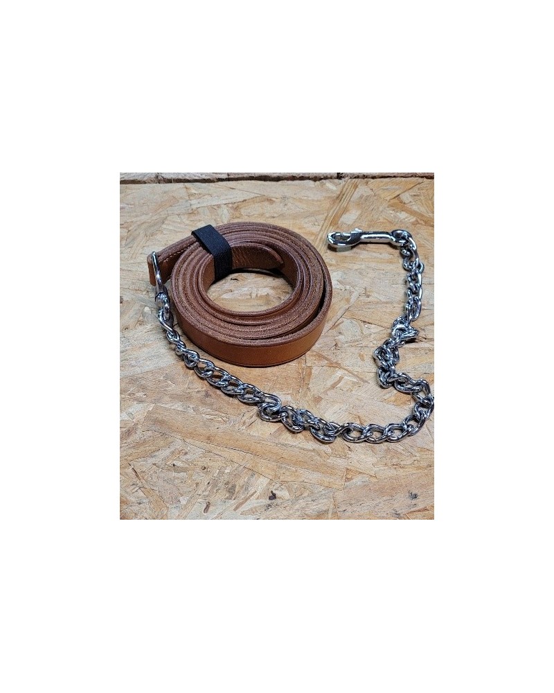 LICOL ETHOLOGIQUE TRAVAIL CORDE LONGE HORSEMANSHIP