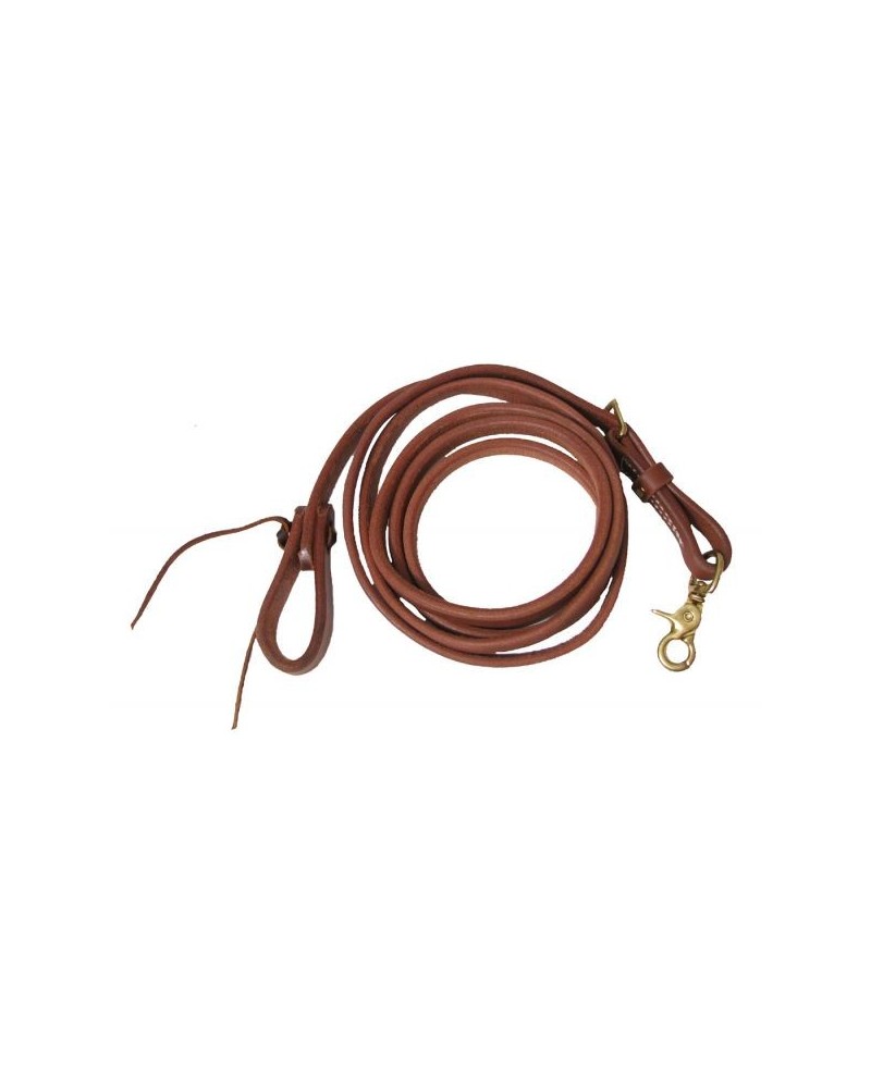 Collier De Traction En Cuir Showman - Motif Feuille De Gland - Pour Chien, NEUF Sous Emballage