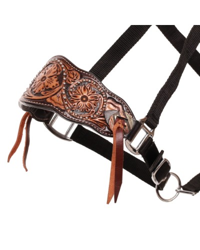 LICOL ETHOLOGIQUE TRAVAIL CORDE LONGE HORSEMANSHIP