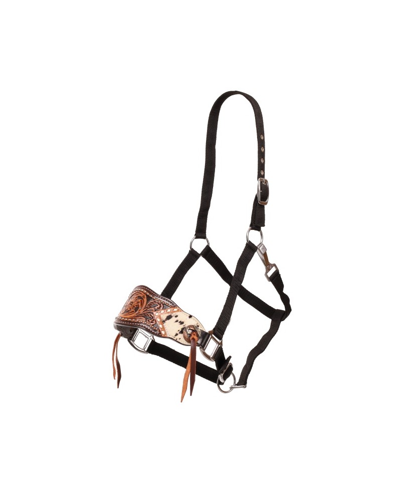 LICOL ETHOLOGIQUE TRAVAIL CORDE LONGE HORSEMANSHIP