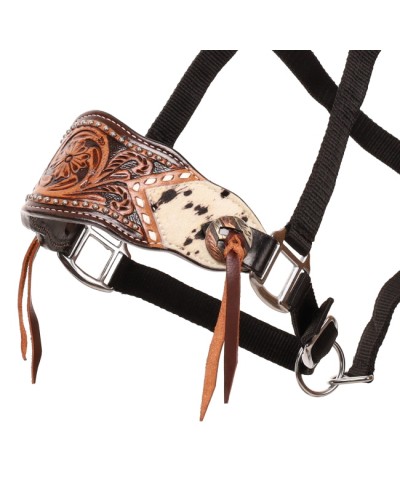 LICOL ETHOLOGIQUE TRAVAIL CORDE LONGE HORSEMANSHIP