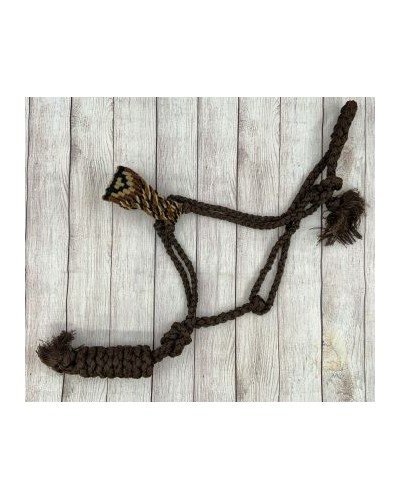 LICOL ETHOLOGIQUE TRAVAIL CORDE LONGE HORSEMANSHIP