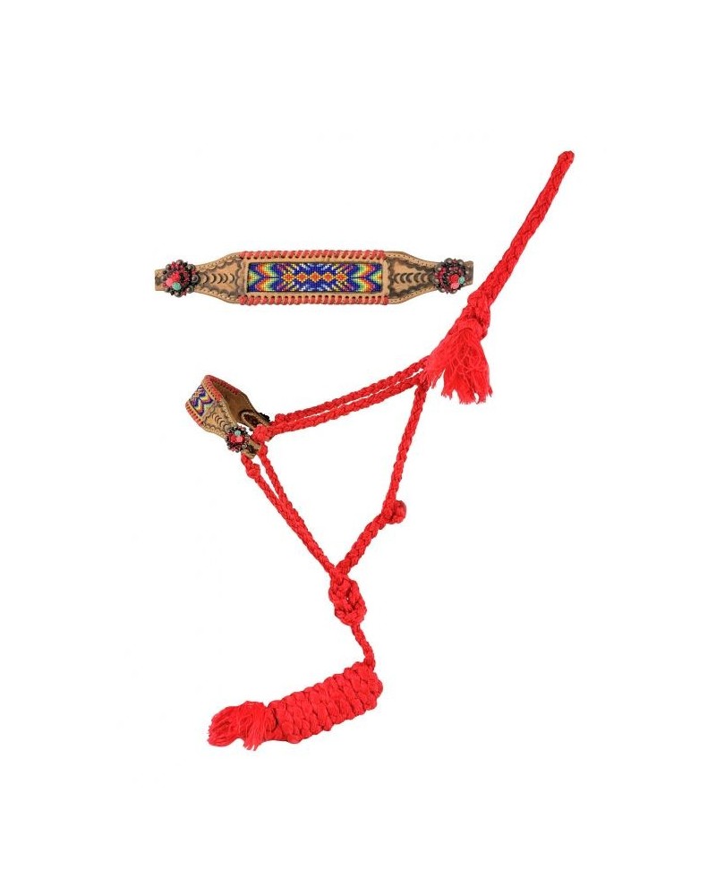 LICOL ETHOLOGIQUE TRAVAIL CORDE LONGE HORSEMANSHIP