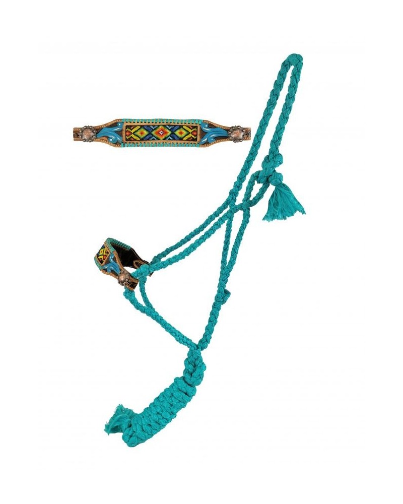 LICOL ETHOLOGIQUE TRAVAIL CORDE LONGE HORSEMANSHIP