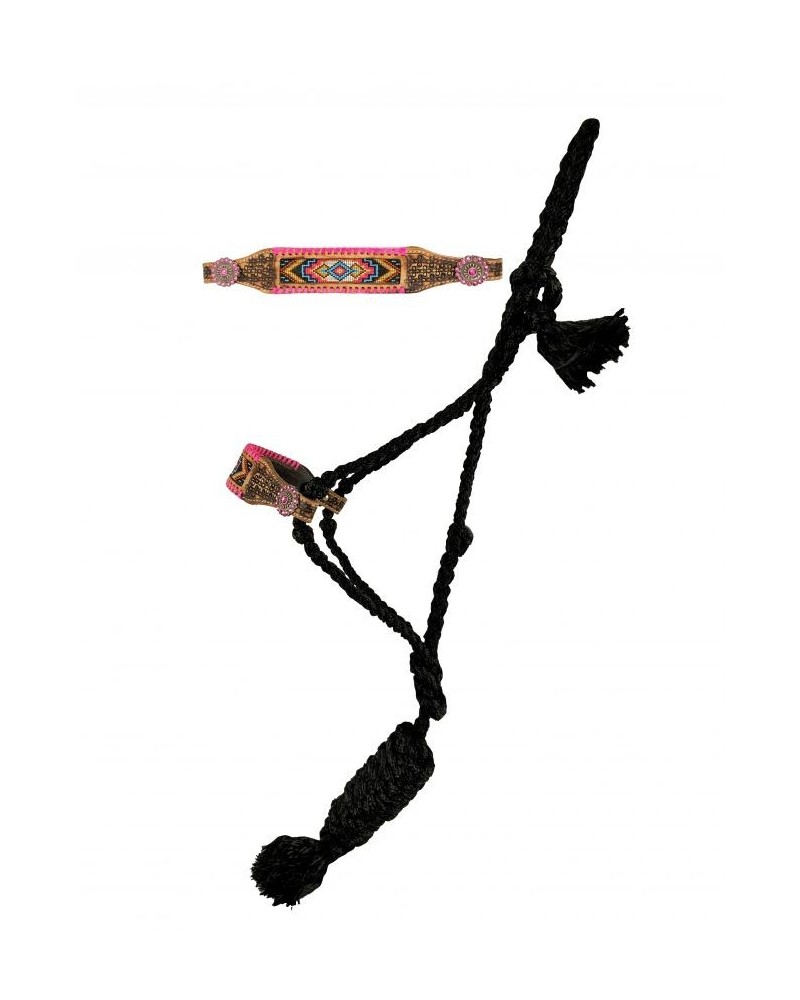 LICOL ETHOLOGIQUE TRAVAIL CORDE LONGE HORSEMANSHIP