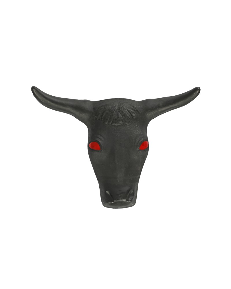 TETE DE TAUREAU POUR LASSO