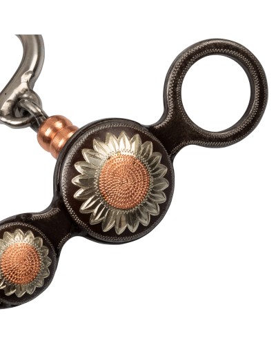 MORS CORRECTIONNAL PLH06002