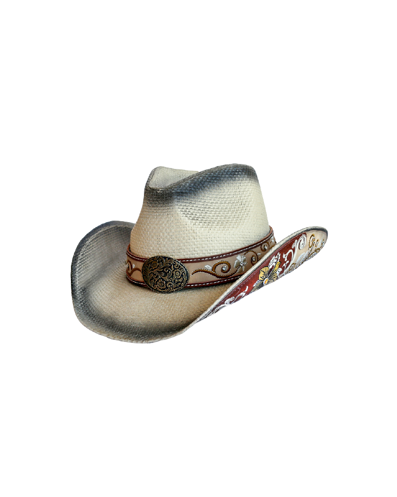 CHAPEAU PAILLE FEUTRE CUIR COWBOY RANCH EQUITATION WESTERN COUNTRY