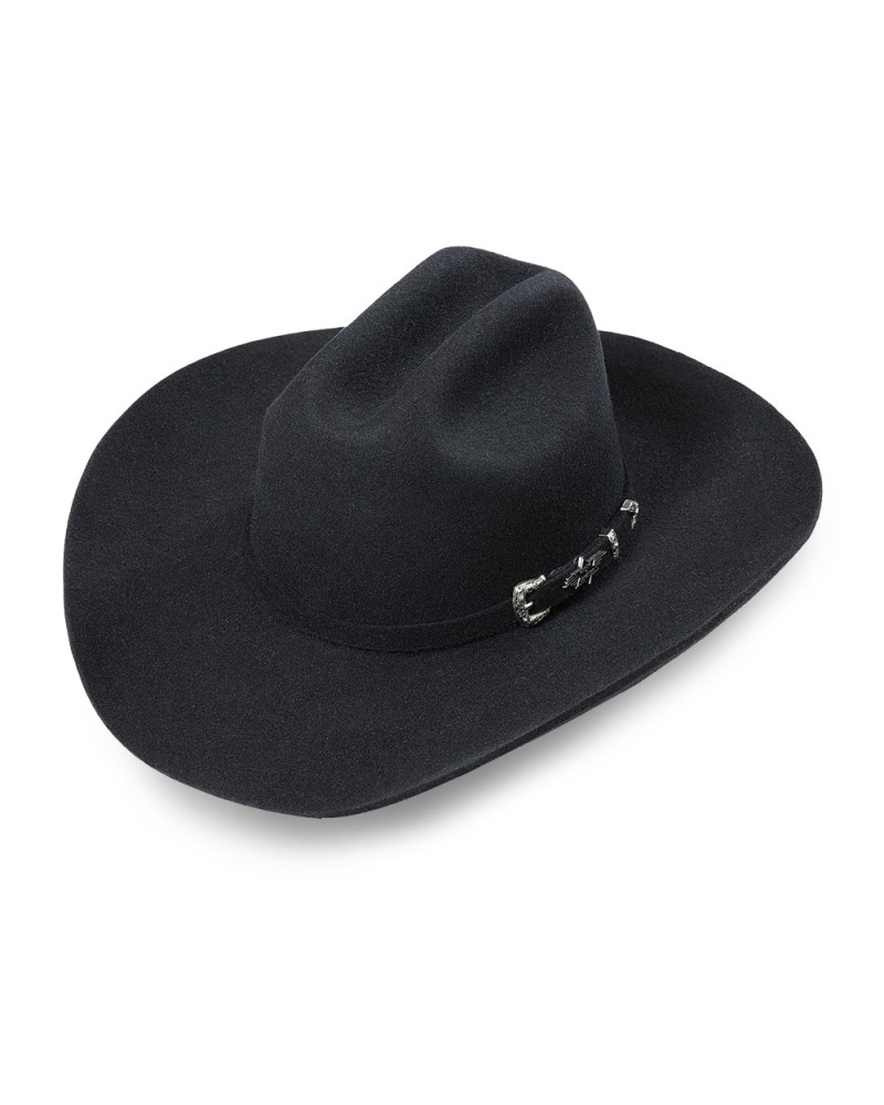 CHAPEAU PAILLE FEUTRE CUIR COWBOY RANCH EQUITATION WESTERN COUNTRY