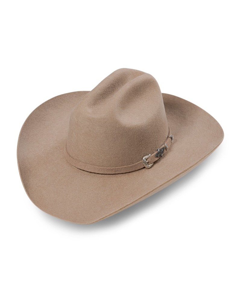 CHAPEAU PAILLE FEUTRE CUIR COWBOY RANCH EQUITATION WESTERN COUNTRY