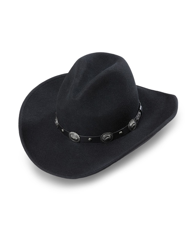 CHAPEAU PAILLE FEUTRE CUIR COWBOY RANCH EQUITATION WESTERN COUNTRY