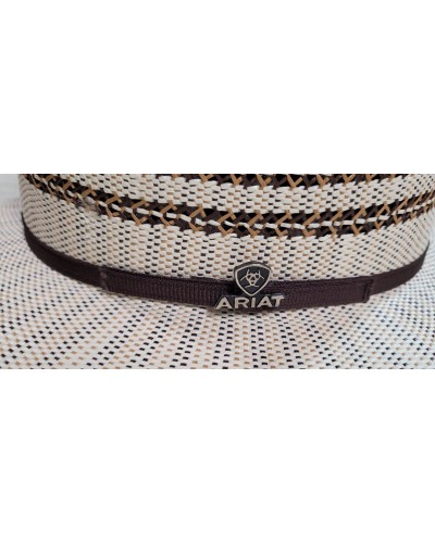 CHAPEAU TOMBSTONE DOUBLE S ARIAT TWISTER SOMHER  WESTERN  QUALITE