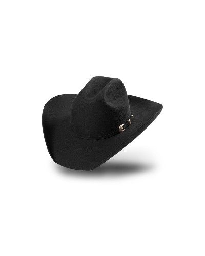 CHAPEAU PAILLE FEUTRE CUIR COWBOY RANCH EQUITATION WESTERN COUNTRY