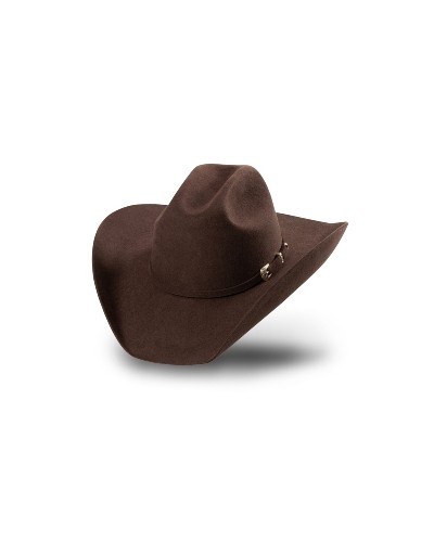 CHAPEAU PAILLE FEUTRE CUIR COWBOY RANCH EQUITATION WESTERN COUNTRY