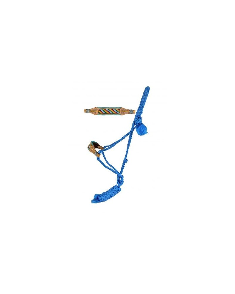 LICOL ETHOLOGIQUE TRAVAIL CORDE LONGE HORSEMANSHIP