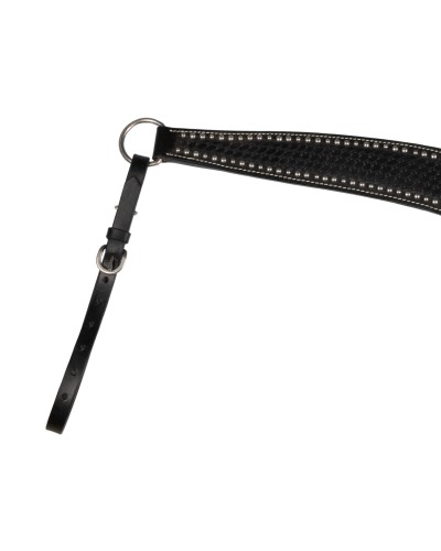 COLLIER DE CHASSE WESTERN AMERICAIN TRAVAIL POOLS LAKOTA WEST COAST H WEST