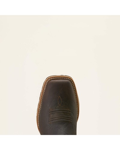 BOOTS ARIAT CHELSEA 10074168 H13