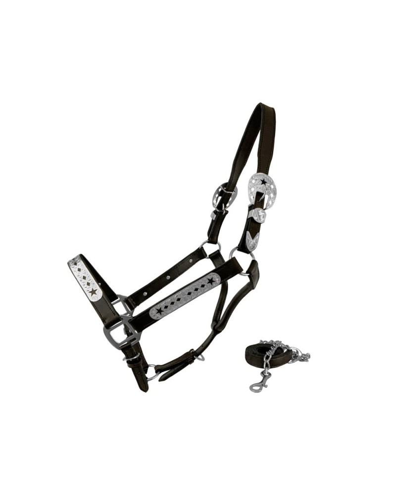 LICOL ETHOLOGIQUE TRAVAIL CORDE LONGE HORSEMANSHIP