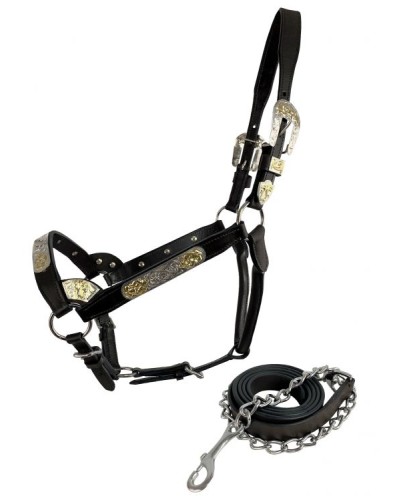 LICOL ETHOLOGIQUE TRAVAIL CORDE LONGE HORSEMANSHIP