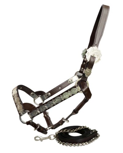 LICOL ETHOLOGIQUE TRAVAIL CORDE LONGE HORSEMANSHIP