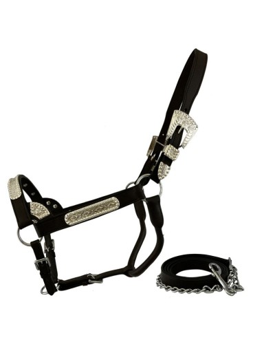 LICOL ETHOLOGIQUE TRAVAIL CORDE LONGE HORSEMANSHIP