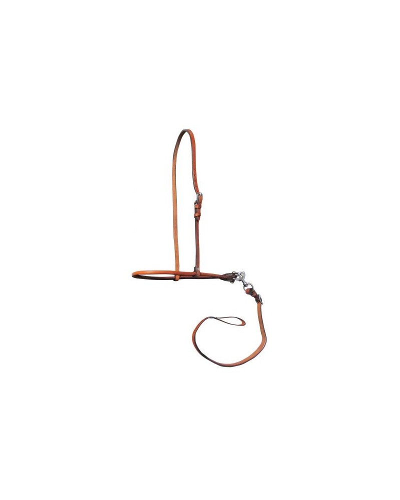 ETRIER WESTERN CHEVAL EQUITATION BOIS CUIR REWHIDE  GUETRE AMERICAINE