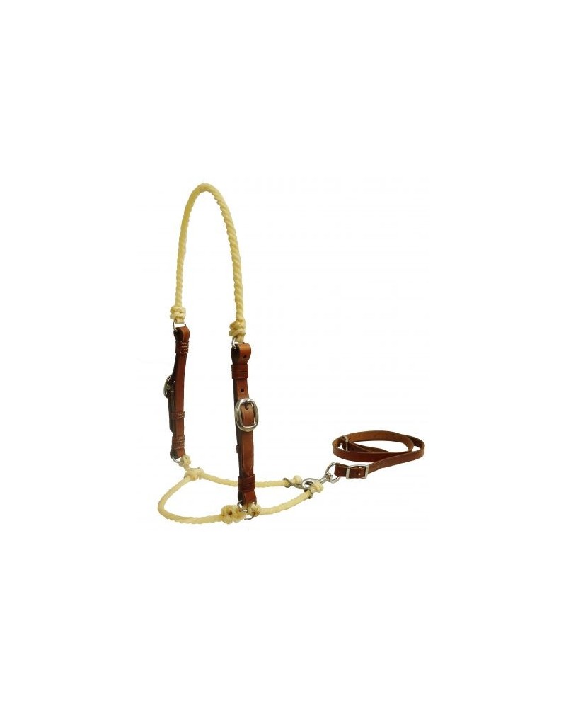 ETRIER WESTERN CHEVAL EQUITATION BOIS CUIR REWHIDE  GUETRE AMERICAINE