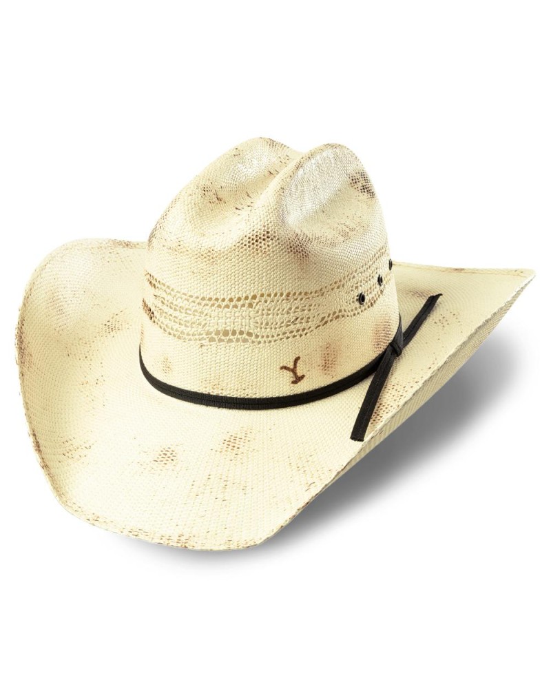 CHAPEAU PAILLE FEUTRE CUIR COWBOY RANCH EQUITATION WESTERN COUNTRY