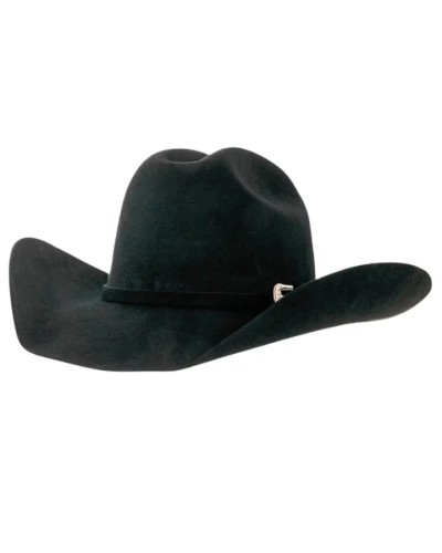 CHAPEAU PAILLE FEUTRE CUIR COWBOY RANCH EQUITATION WESTERN COUNTRY