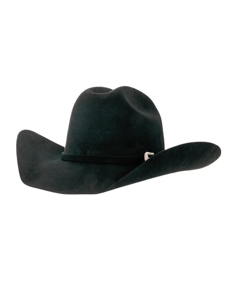 CHAPEAU PAILLE FEUTRE CUIR COWBOY RANCH EQUITATION WESTERN COUNTRY