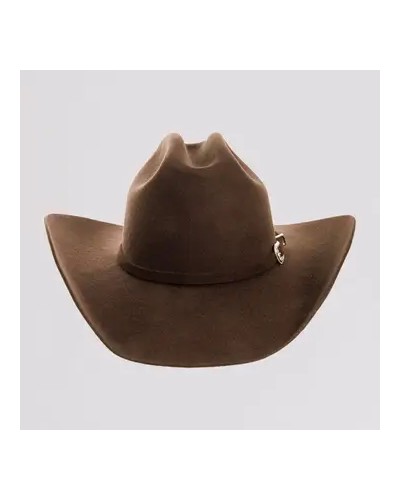 CHAPEAU PAILLE FEUTRE CUIR COWBOY RANCH EQUITATION WESTERN COUNTRY