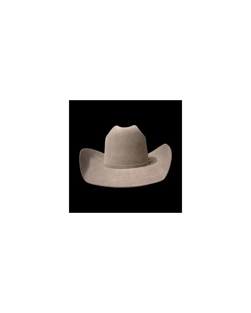 CHAPEAU PAILLE FEUTRE CUIR COWBOY RANCH EQUITATION WESTERN COUNTRY