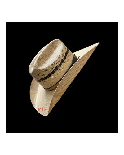 CHAPEAU PAILLE FEUTRE CUIR COWBOY RANCH EQUITATION WESTERN COUNTRY