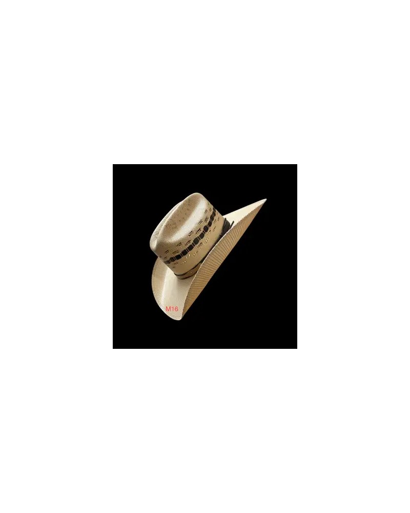 CHAPEAU PAILLE FEUTRE CUIR COWBOY RANCH EQUITATION WESTERN COUNTRY