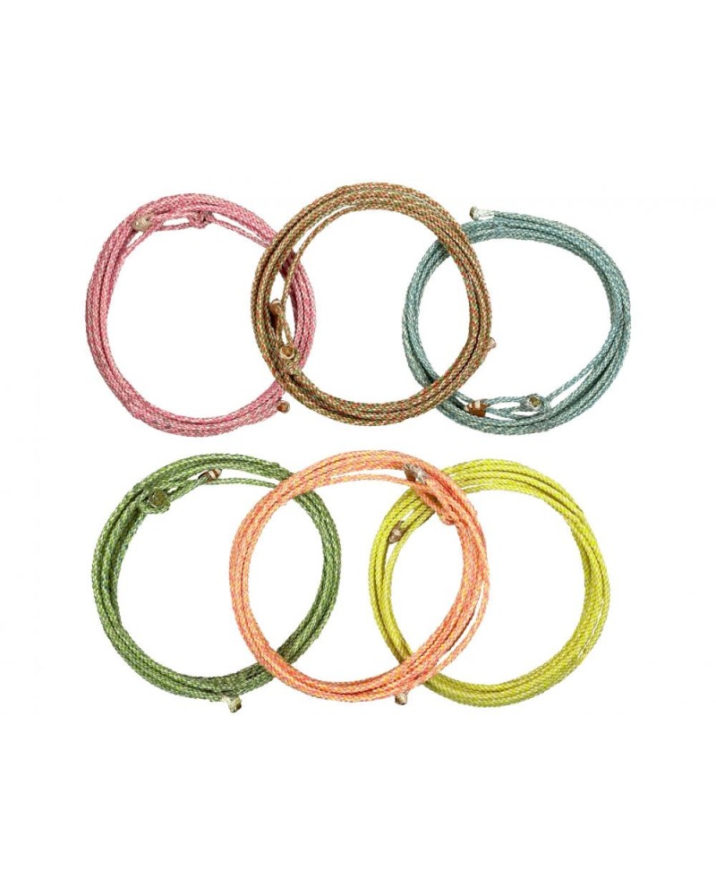 Lasso travail équitation western cheval ranch