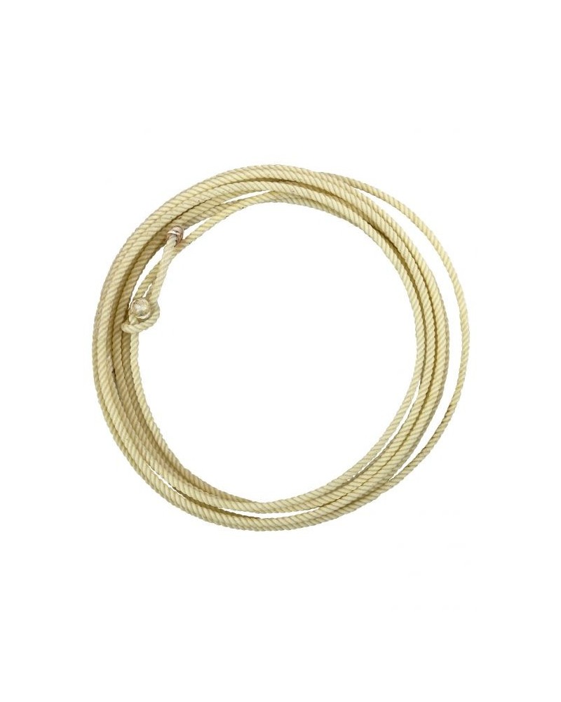 Lasso travail équitation western cheval ranch