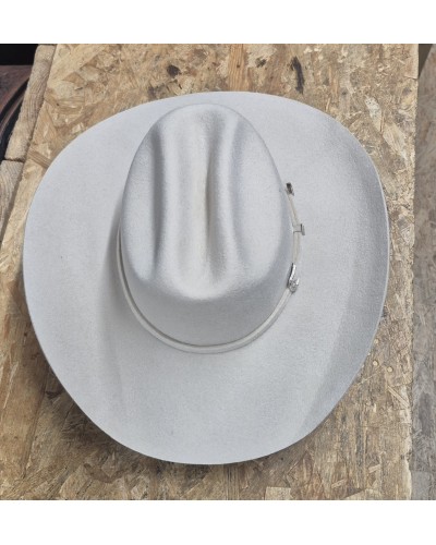 CHAPEAU PAILLE FEUTRE CUIR COWBOY RANCH EQUITATION WESTERN COUNTRY