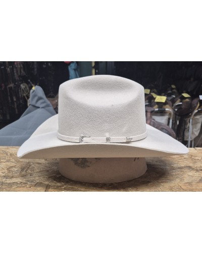 CHAPEAU PAILLE FEUTRE CUIR COWBOY RANCH EQUITATION WESTERN COUNTRY